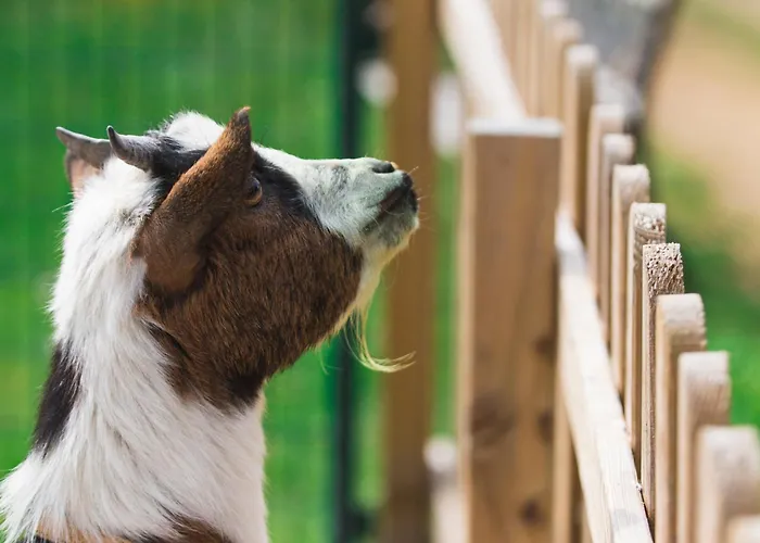 Bed & Breakfast Mariebel' *